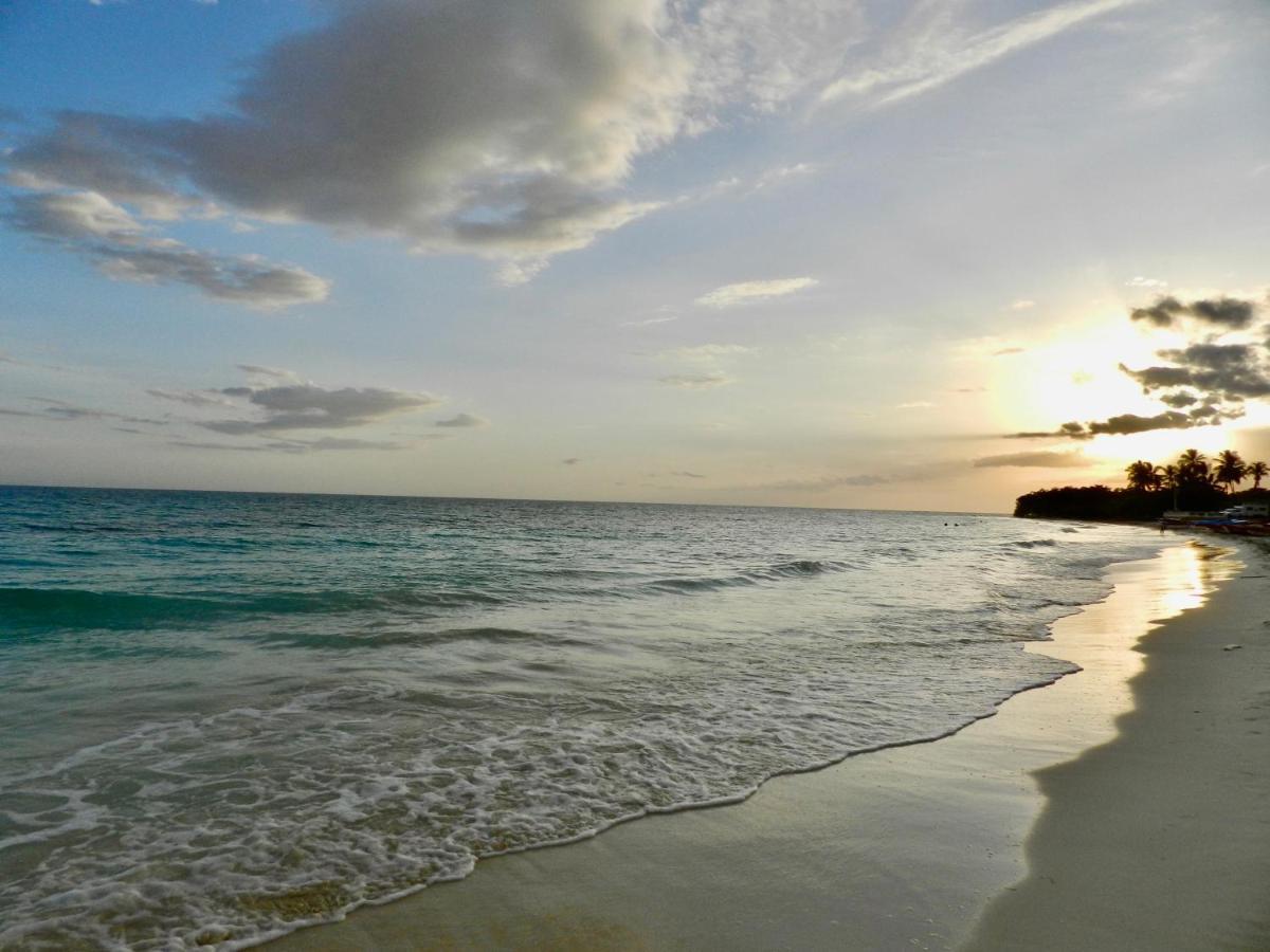 Hotel Villas Del Mar เปเดร์นาเลส ภายนอก รูปภาพ