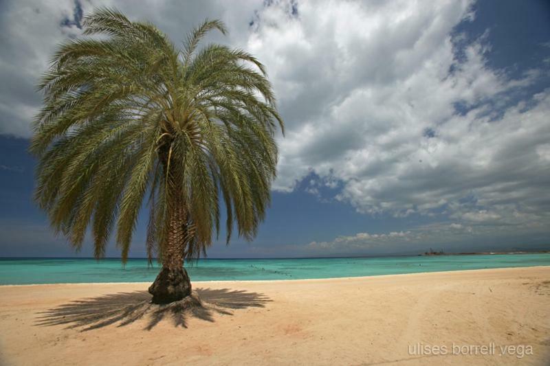 Hotel Villas Del Mar เปเดร์นาเลส ภายนอก รูปภาพ